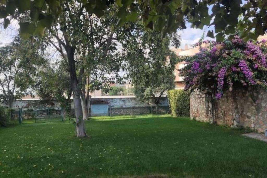 Home Garden Grosseto Extérieur photo