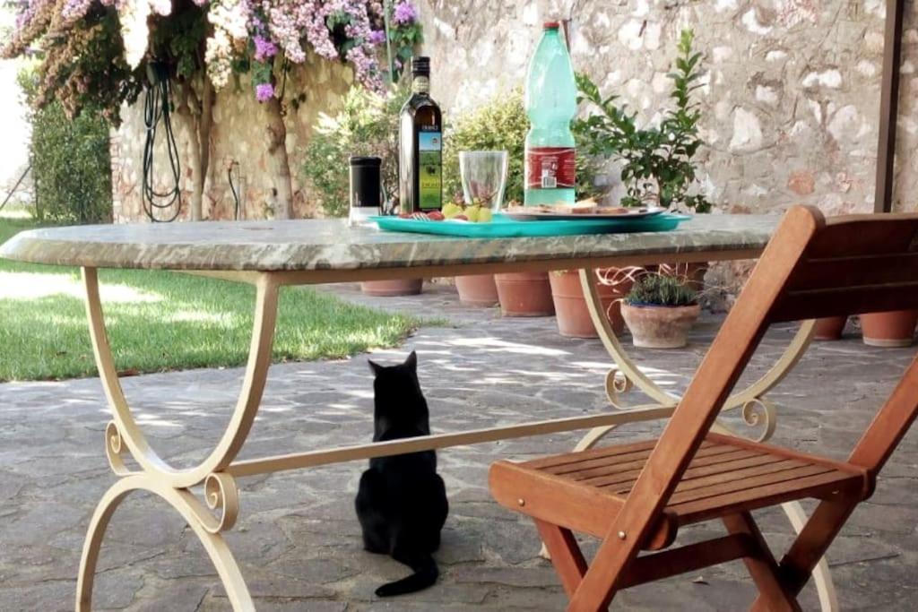 Home Garden Grosseto Extérieur photo